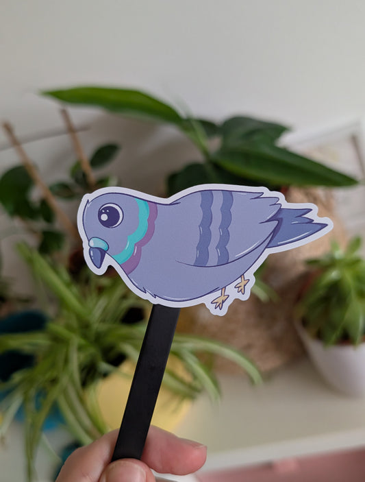 Pigeon Sticker