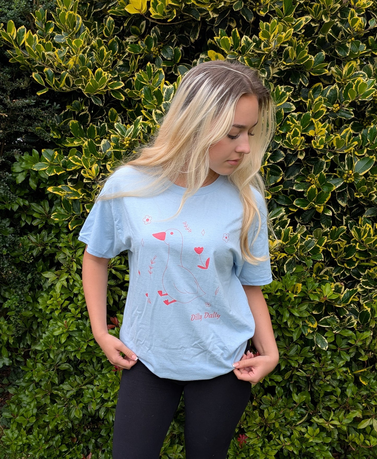 Dilly Dally Goose T shirt