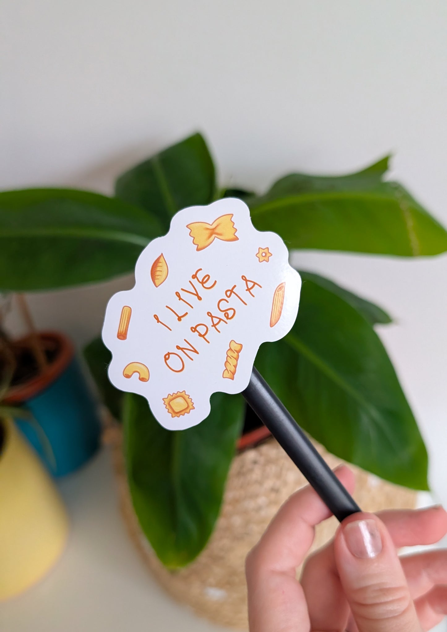 Pasta Sticker