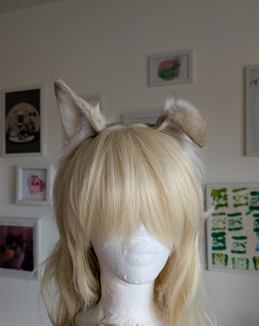 Latte/Grey and White Puppy Ears