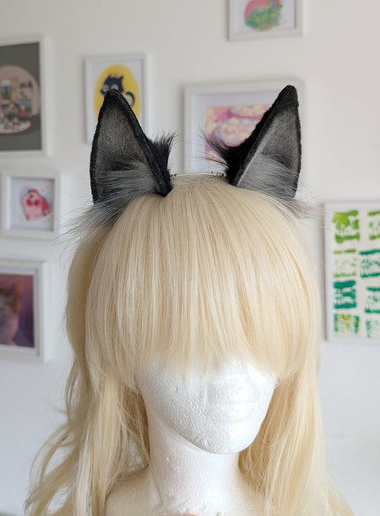Black and Grey Puppy Wolf Dog Ears