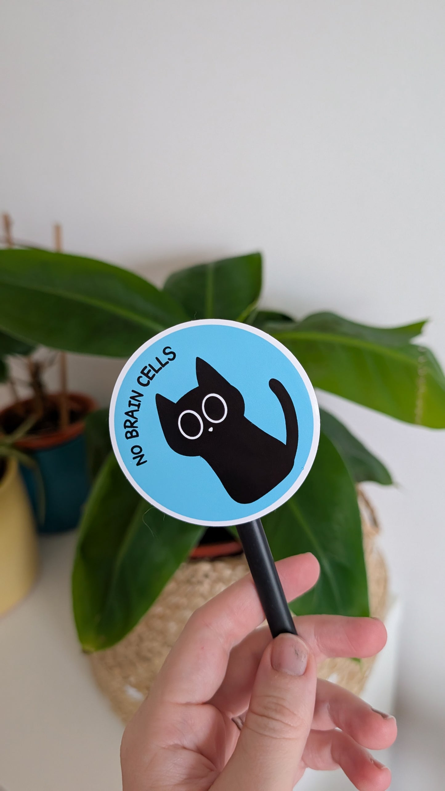 No Brain Cells Black Cat Sticker