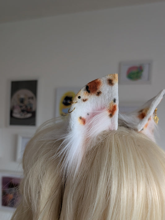 Calico Kitten Ears