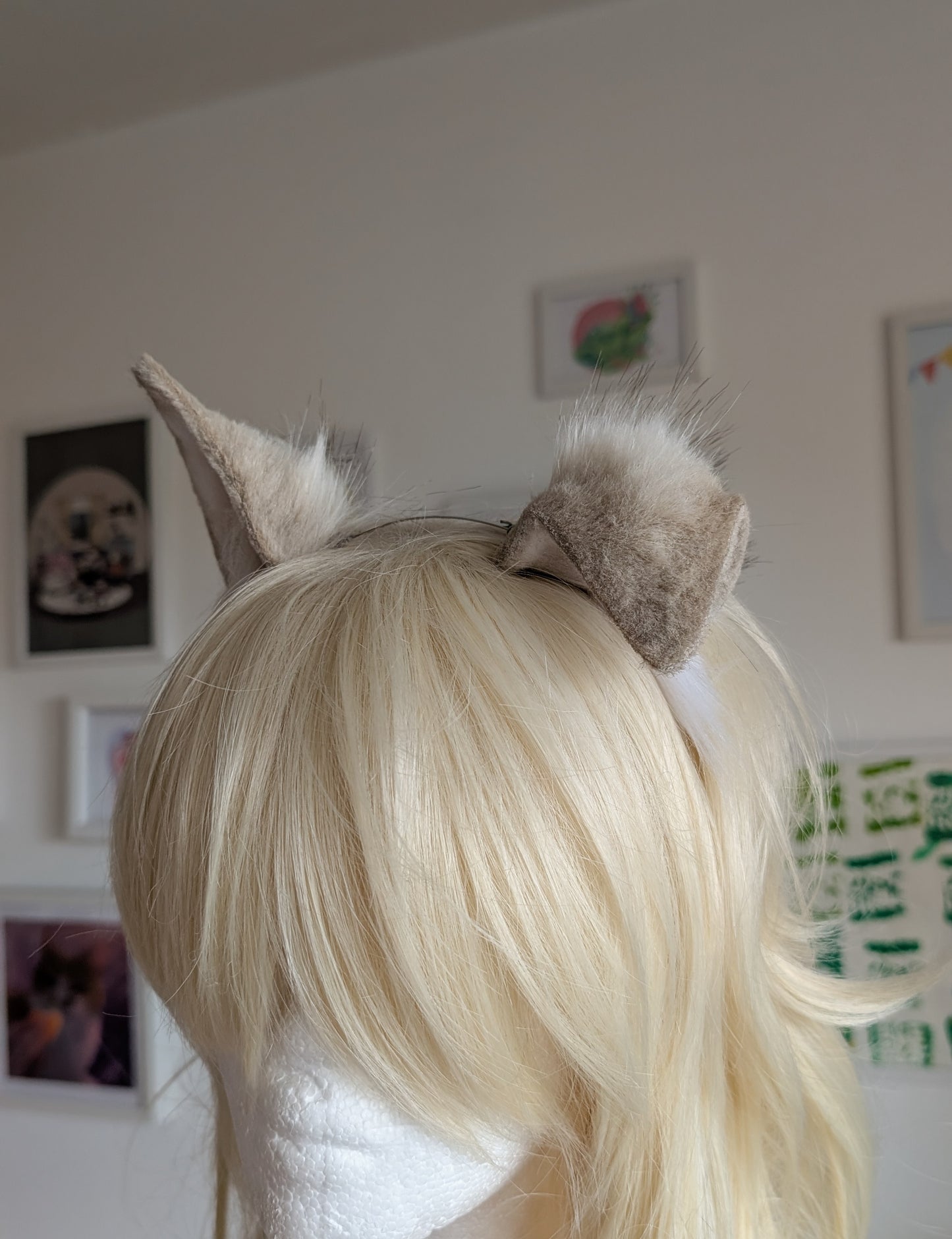 Latte/Grey and White Puppy Ears