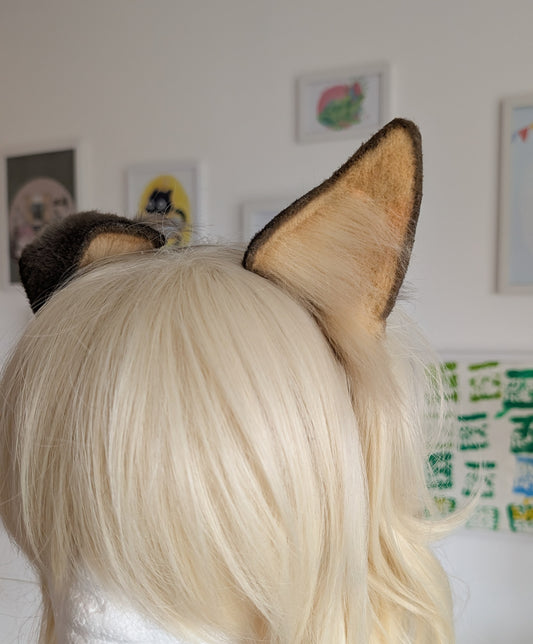 Blonde and Brown Puppy Dog Ears