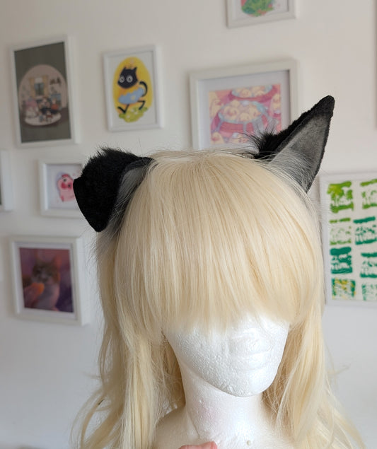 Black and Grey Puppy Wolf Dog Ears