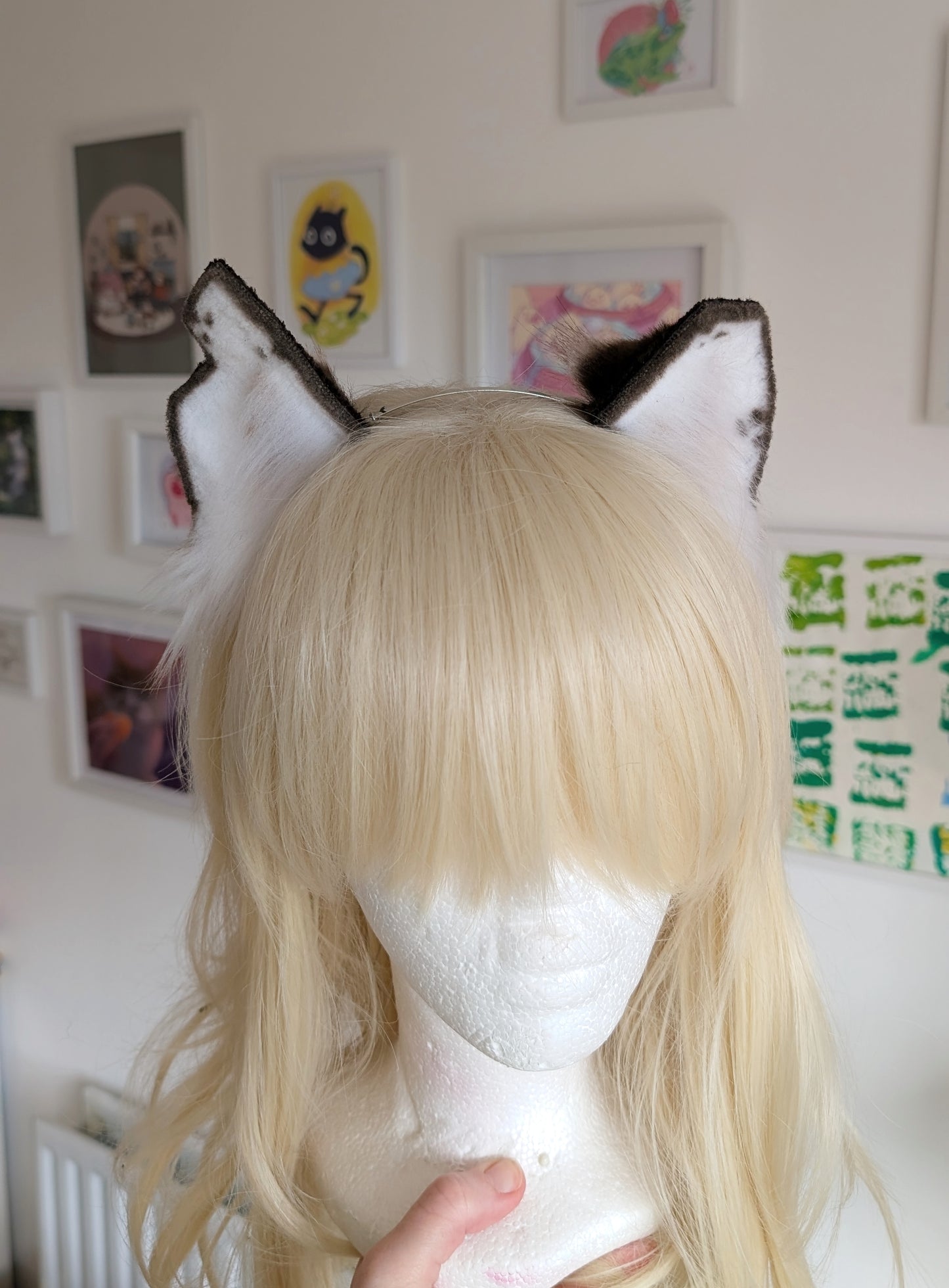 Rough Brown and White Kitten Ears