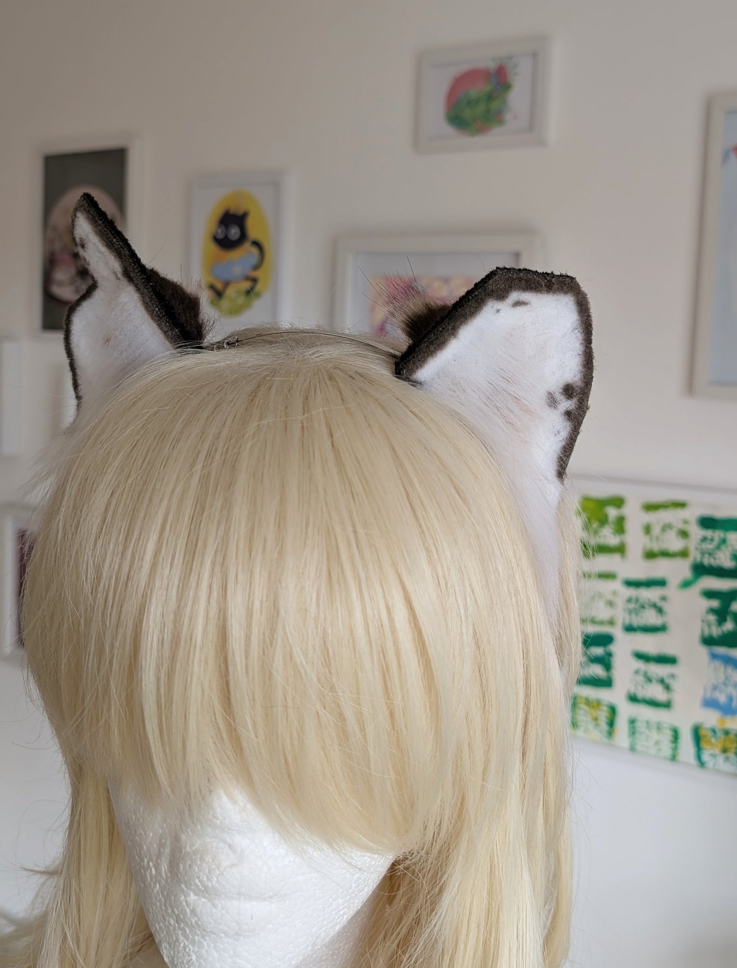 Rough Brown and White Kitten Ears