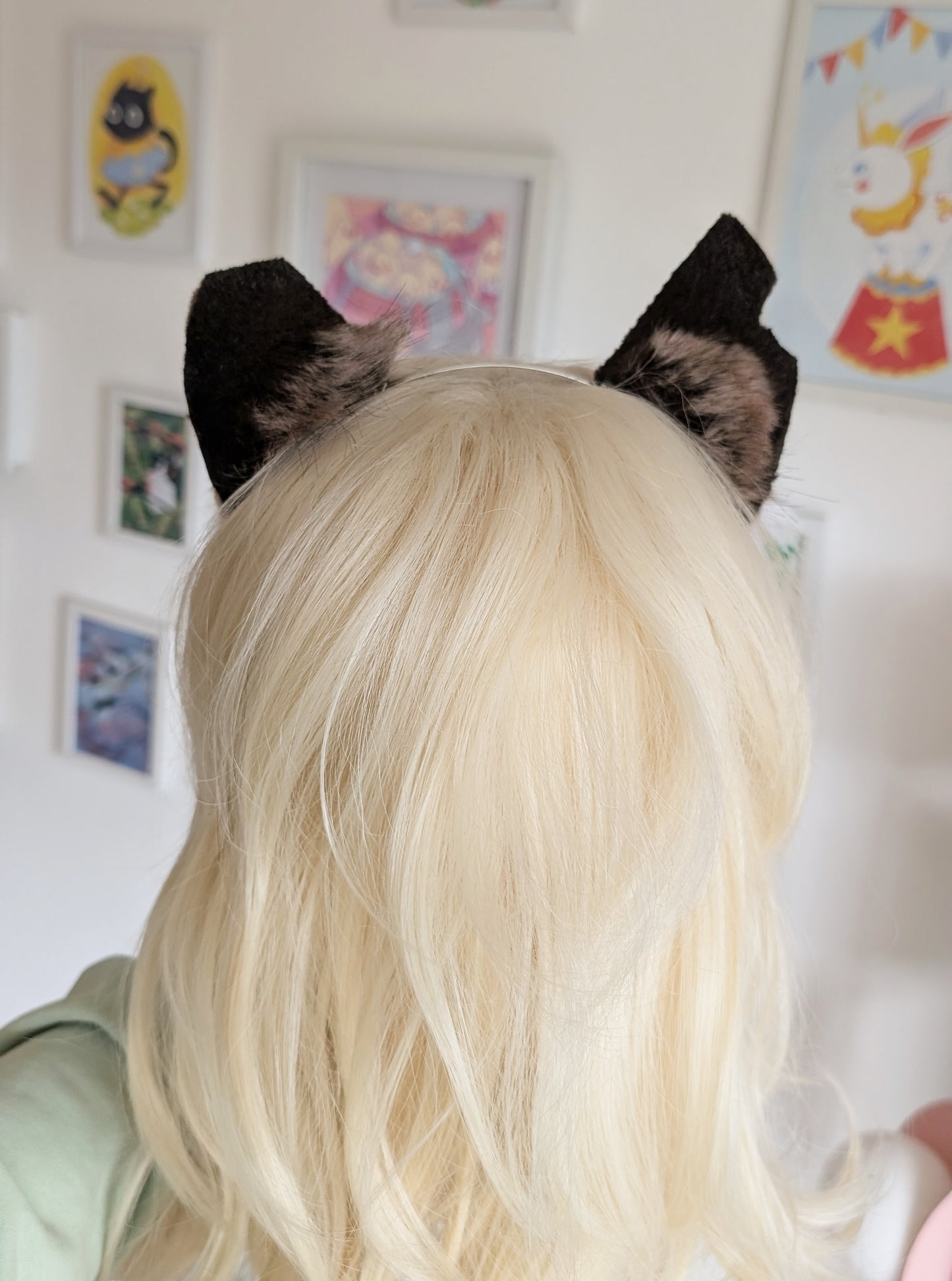 Rough Brown and White Kitten Ears