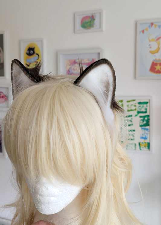 Brown and White Wolf Puppy Ears